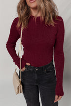 Solid Metallic Ribbed Knit Long Sleeve Top